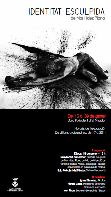 Identitat esculpida_exp