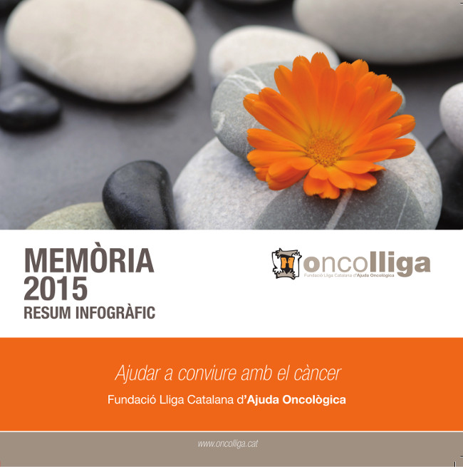 Memoria 2015.Resum infografic._p1