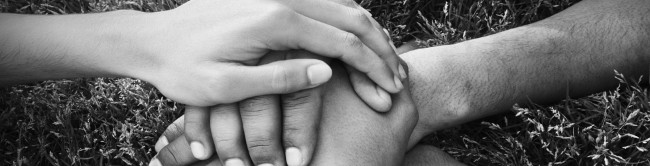 micompanerodeviaje_st