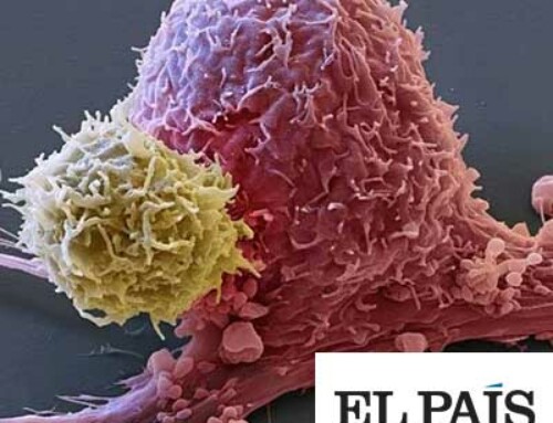 Una vacuna de ARN logra un primer éxito contra el cáncer de páncreas, el tumor más letal