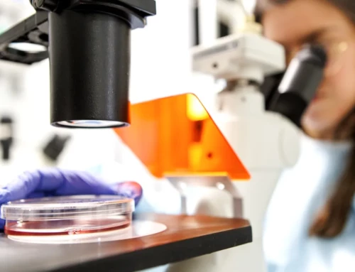 Una anàlisi de sang per saber si funcionarà la immunoteràpia en diferents tipus de tumors