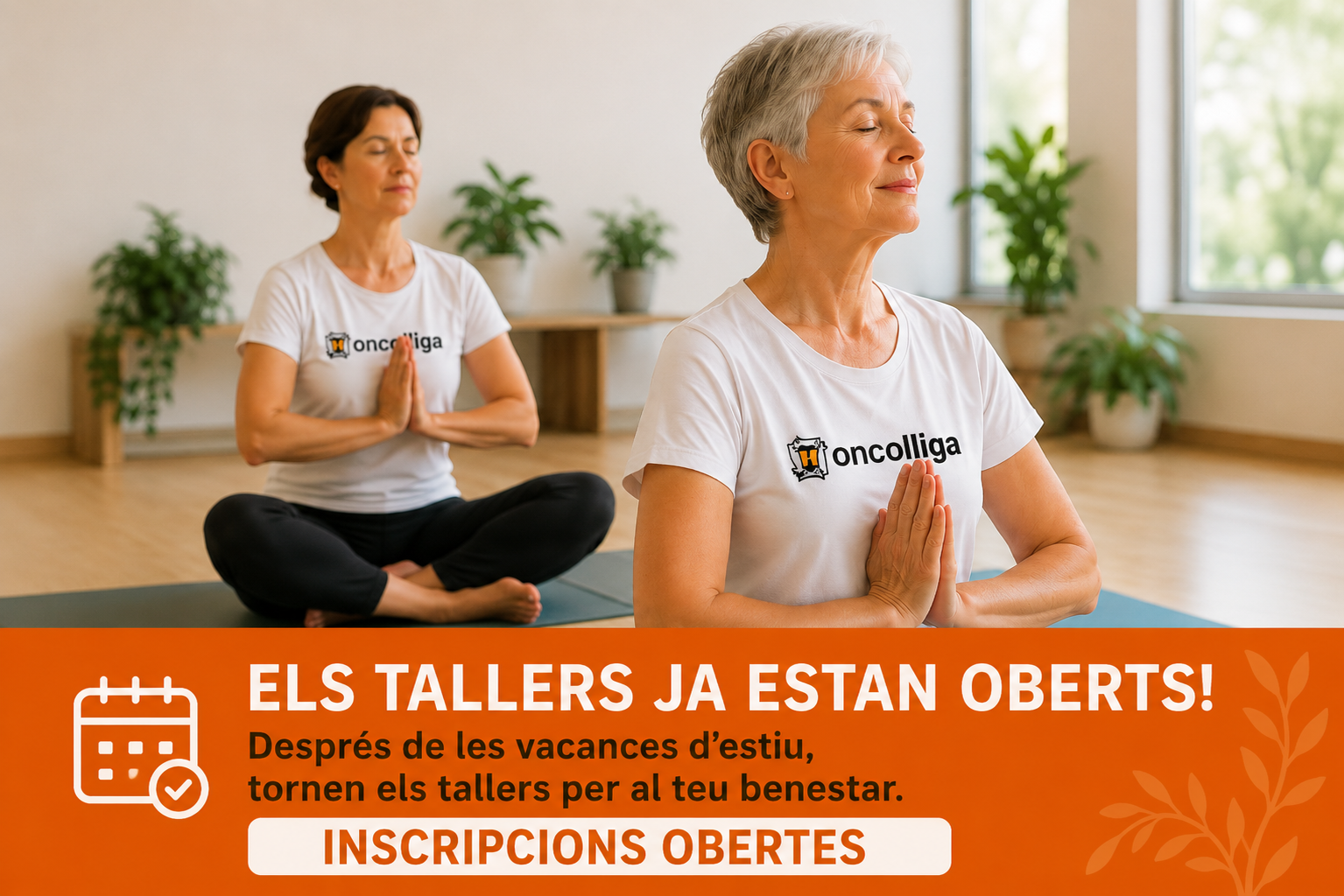 Imagen1