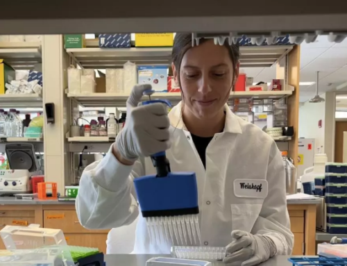 Una investigadora de Banyoles lidera en Harvard un estudio que abre una nueva vía contra el cáncer
