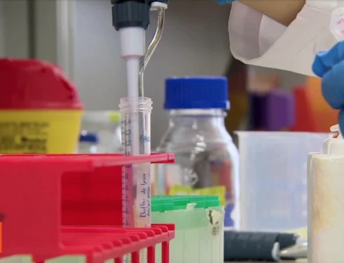 Día Mundial contra el Cáncer de Mama Tumores resistentes, el reto de los investigadores frente al cáncer de mama